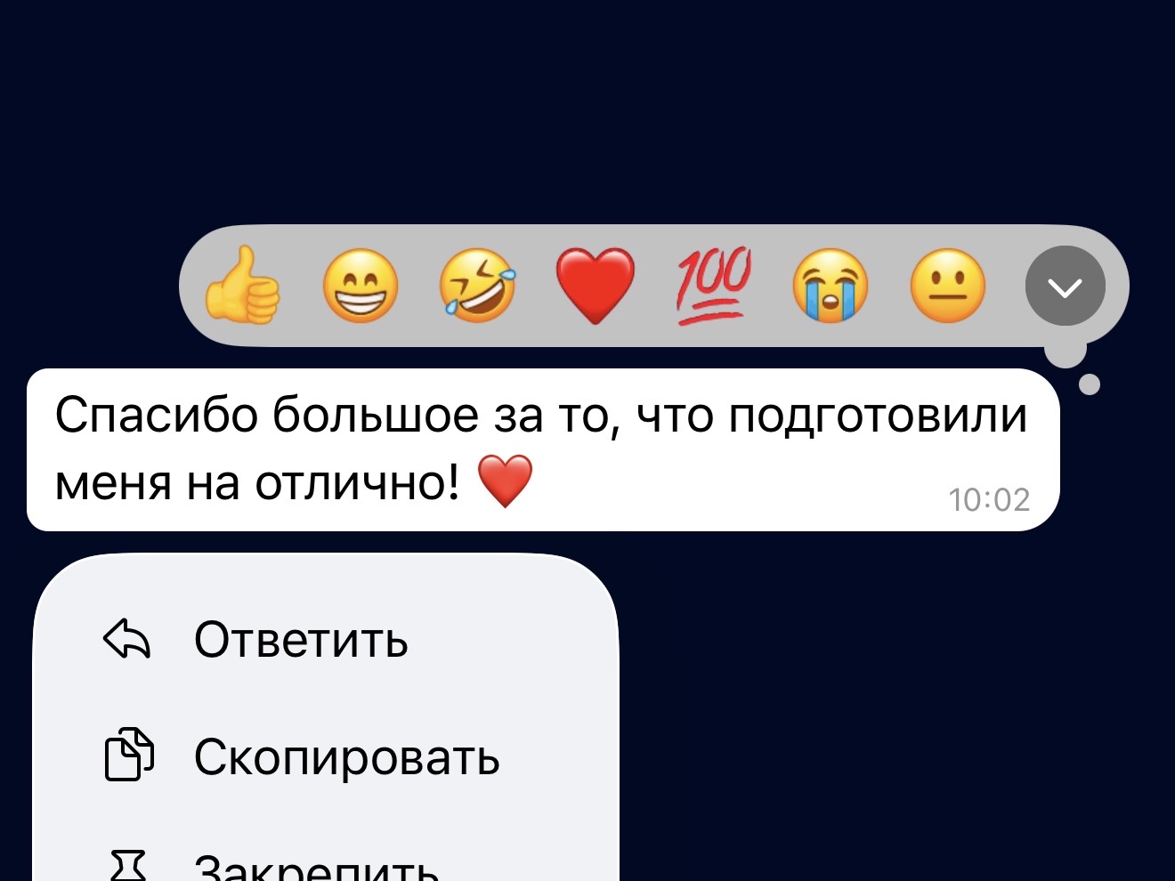 Отзыв ученика: спасибо за подготовку на отлично